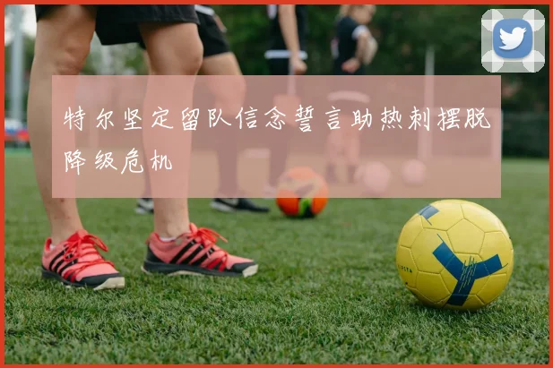 特尔坚定留队信念誓言助热刺摆脱降级危机